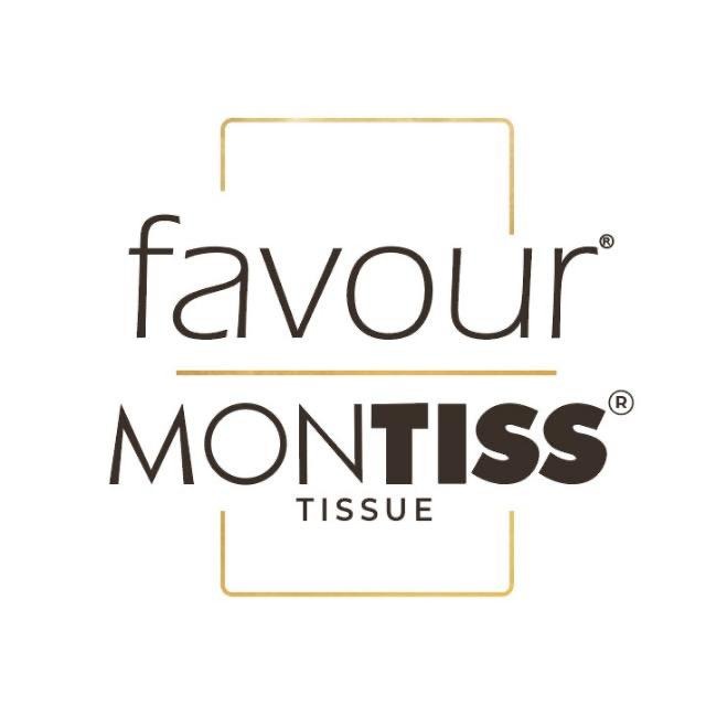 Montiss Logo